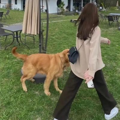 明日战记